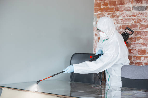 Best Emergency Mold Remediation  in St Michael, MN